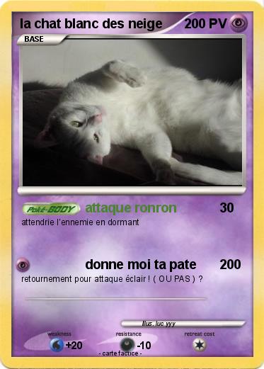 Pokemon la chat blanc des neige