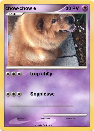 Pokemon chow-chow e