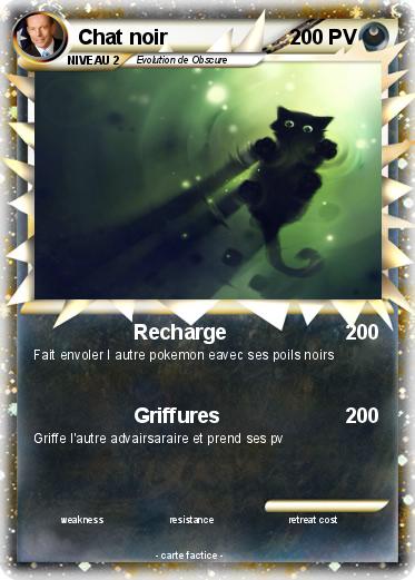 Pokemon Chat noir