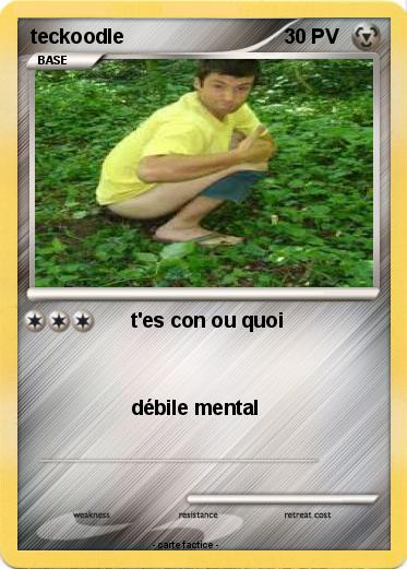 Pokemon teckoodle
