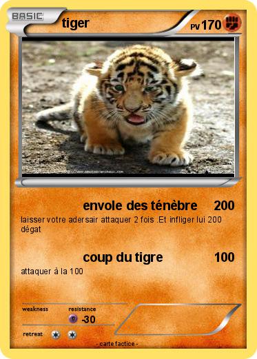 Pokemon tiger