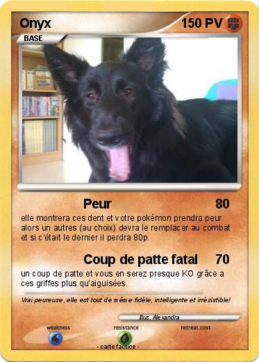 Pokemon Onyx