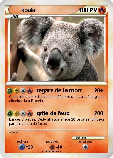 Pokemon koala
