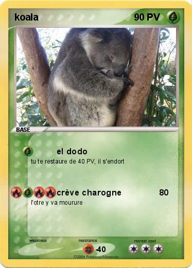 Pokemon koala