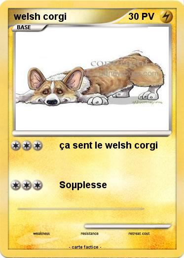 Pokemon welsh corgi