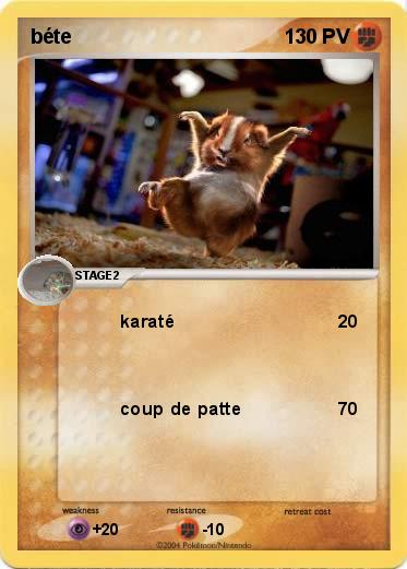Pokemon béte