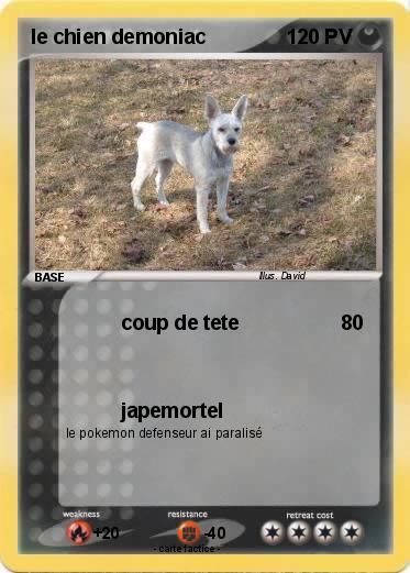 Pokemon le chien demoniac