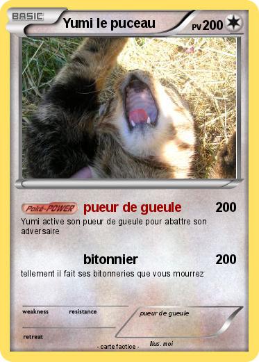 Pokemon Yumi le puceau
