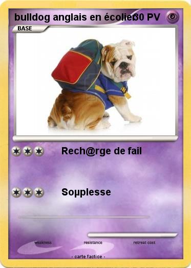 Pokemon bulldog anglais en écolier