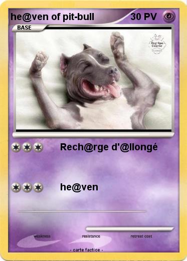 Pokemon he@ven of pit-bull