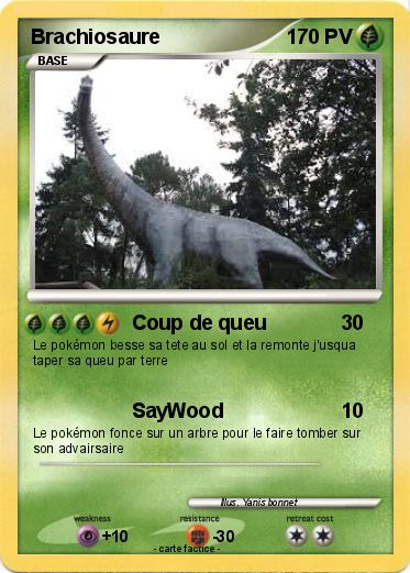 Pokemon Brachiosaure
