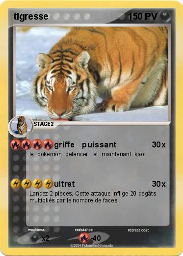 Pokemon tigresse