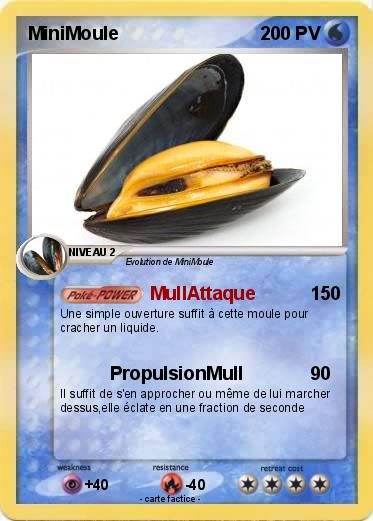 Pokemon MiniMoule
