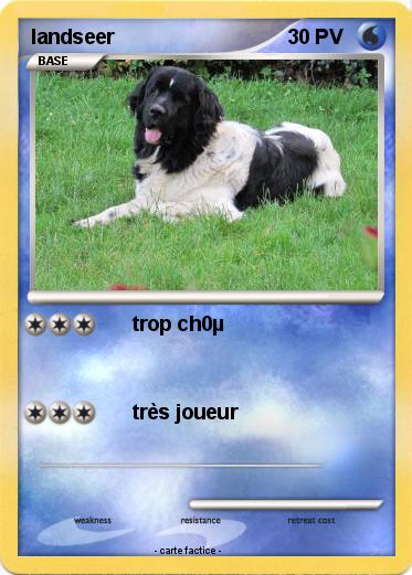 Pokemon landseer
