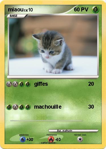 Pokemon miaou