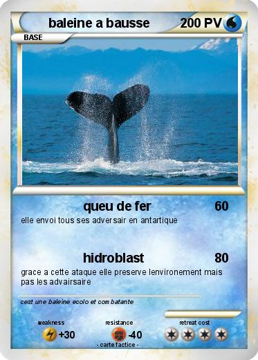 Pokemon baleine a bausse
