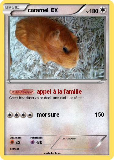 Pokemon caramel EX