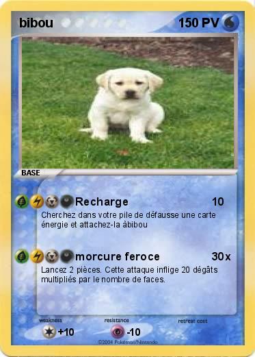 Pokemon bibou