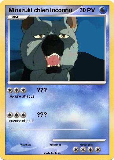 Pokemon Minazuki chien inconnu