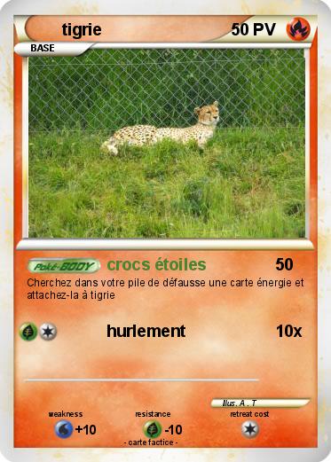 Pokemon tigrie