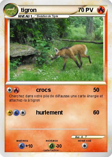 Pokemon tigron