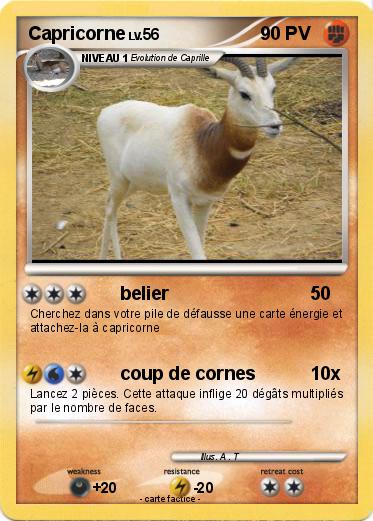 Pokemon Capricorne