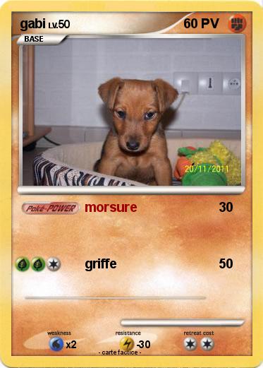 Pokemon gabi