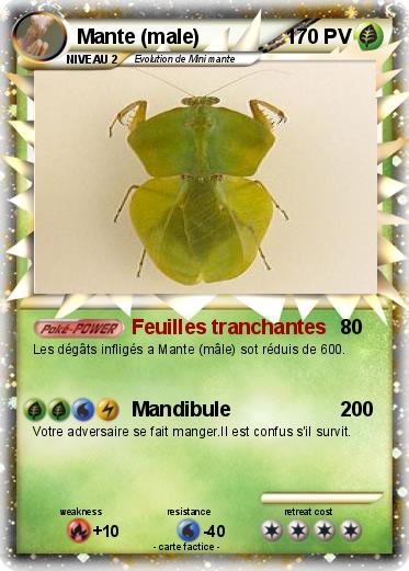 Pokemon Mante (male)