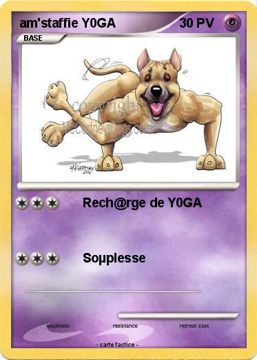 Pokemon am'staffie Y0GA