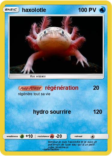 Pokemon haxolotle