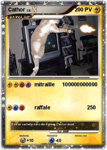 Pokemon Cathor