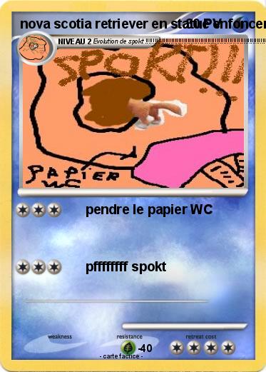 Pokemon nova scotia retriever en statue enfoncer