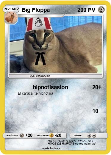 Pokemon Big Floppa