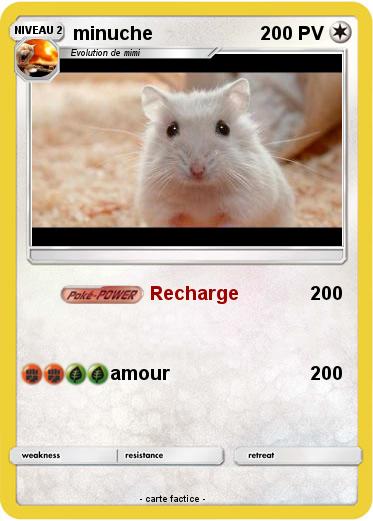 Pokemon minuche