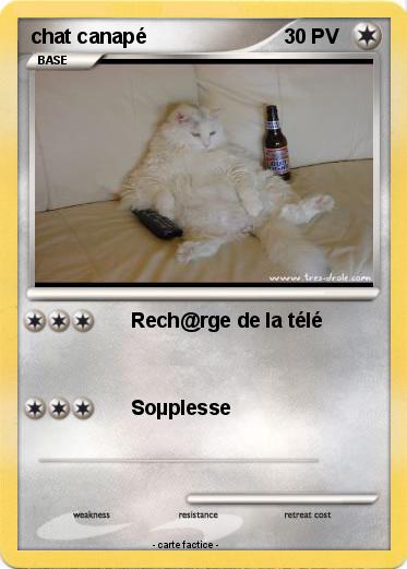 Pokemon chat canapé