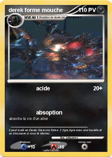 Pokemon derek forme mouche