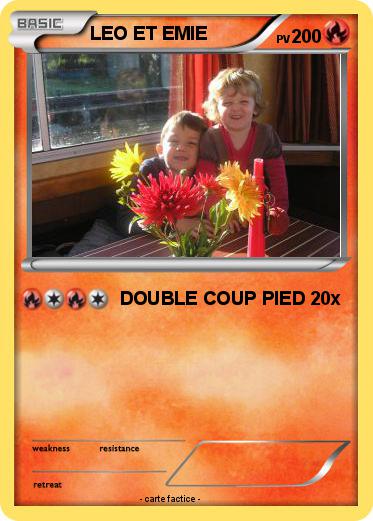 Pokemon LEO ET EMIE