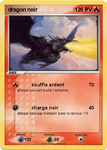Pokemon dragon noir