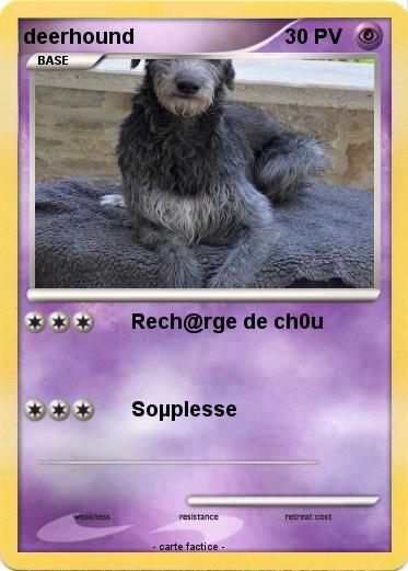 Pokemon deerhound