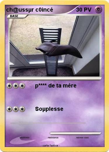 Pokemon ch@ussµr c0incé