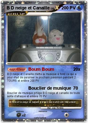 Pokemon B D neige et Canaille