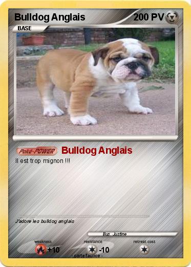 Pokemon Bulldog Anglais