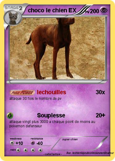 Pokemon choco le chien EX