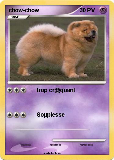 Pokemon chow-chow