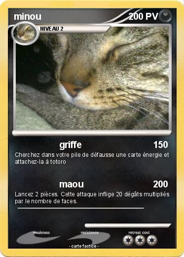 Pokemon minou