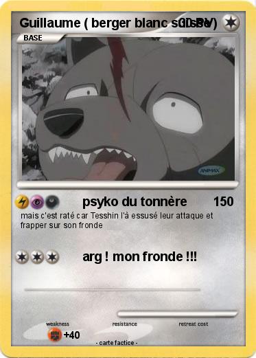 Pokemon Guillaume ( berger blanc suisse )