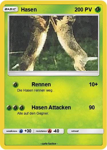 Pokemon Hasen