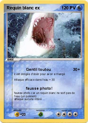 Pokemon Requin blanc ex