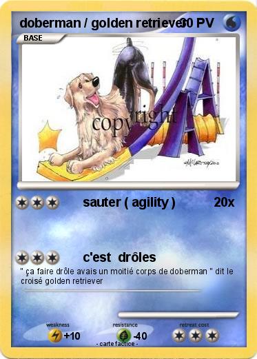 Pokemon doberman / golden retriever