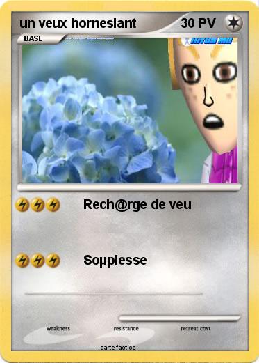 Pokemon un veux hornesiant